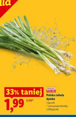 Lidl Cebula dymka Polski oferta