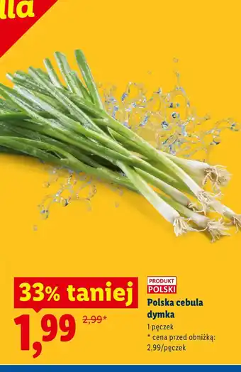 Lidl Cebula dymka Polski oferta