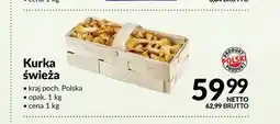 Makro Kurka świeża Polska oferta