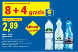 Lidl Woda oferta