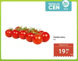 Dino Pomidor cherry luz oferta