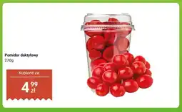 Dino Pomidor daktylowy oferta