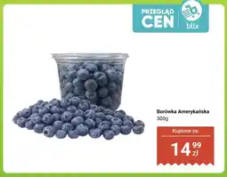 Dino Borówka amerykańska oferta