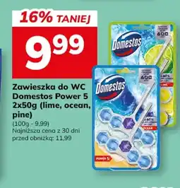 Hitpol Zawieszka do WC Domestos Power 5 Lime oferta