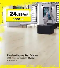 Bricoman Panele podłogowe Dąb Esteban AC4 7 mm oferta