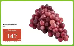 Dino Winogrono ciemne oferta