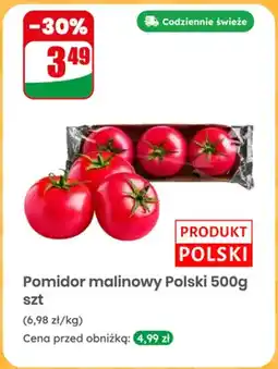 Dino Pomidor malinowy polski oferta