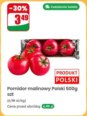 Dino Pomidor malinowy polski oferta