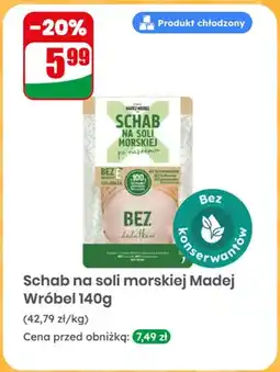 Dino Schab na soli morskiej Madej Wróbel oferta