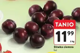 Intermarche Śliwka ciemna luz oferta