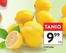 Intermarche Cytryna luz oferta
