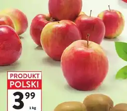 Intermarche Jabłka oferta