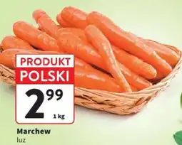 Intermarche Marchew luz oferta