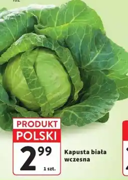 Intermarche Kapusta biała wczesna oferta