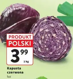 Intermarche Kapusta czerwona luz oferta