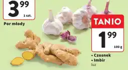 Intermarche Czosnek Imbir luz oferta
