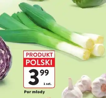 Intermarche Por młody oferta