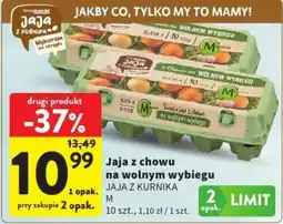 Intermarche Jaja z chowu na wolnym wybiegu JAJA Z KURNIKA oferta