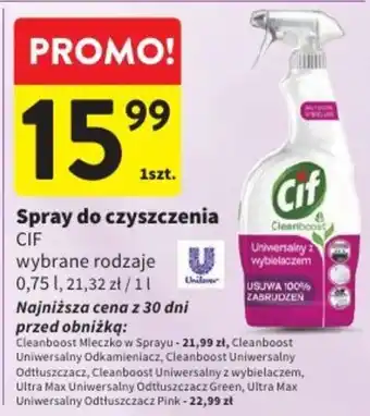 Intermarche Spray do czyszczenia CIF oferta