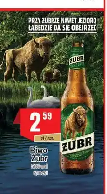 Premium Nasz Sklep Piwo Żubr oferta