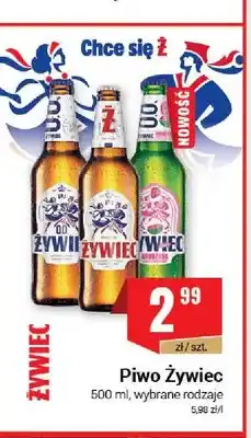 Premium Nasz Sklep Piwo Żywiec smakowe oferta