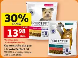 Auchan Karma sucha dla psa lub kota Perfect Fit oferta