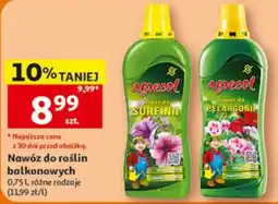 Auchan Nawóz do roślin balkonowych oferta