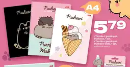 Twój Market Teczka z gumką A4 Pusheen oferta