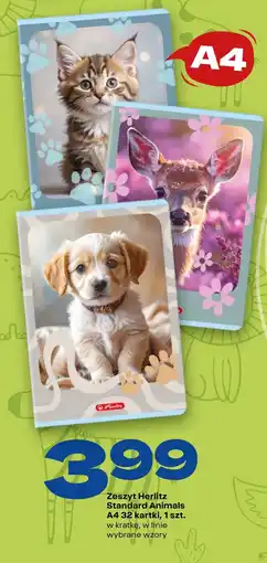 Twój Market Zeszyt Herlitz Standard Animals oferta