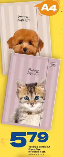 Twój Market Teczka z gumką A4 Puppy Sign oferta