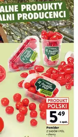 Intermarche Pomidor Z Sadów i Pól cherry / daktylowy mix rodzajów oferta