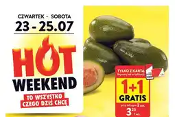 Intermarche Avocado zielone oferta