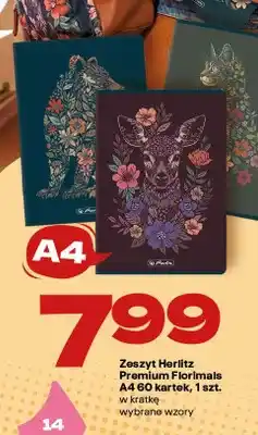 Twój Market Zeszyt Herlitz Premium Florimals A4 60 kartek oferta
