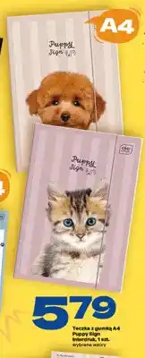 Twój Market Teczka z gumką A4 Puppy Sign Interdruk oferta