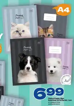 Twój Market Zeszyt A4 Puppy Sign Interdruk 32 kartki oferta