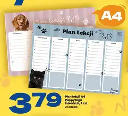 Twój Market Plan lekcji A4 Puppy Sign Interdruk oferta