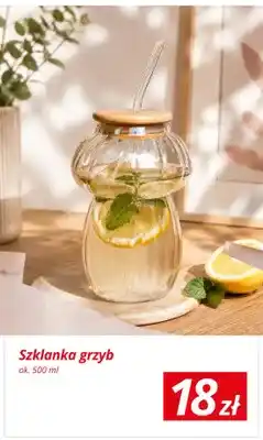 KiK Szklanka grzyb ok oferta