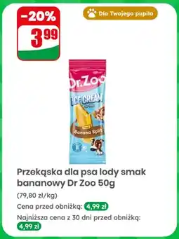 Dino Przekąska dla psa lody smak bananowy Dr. Zoo oferta