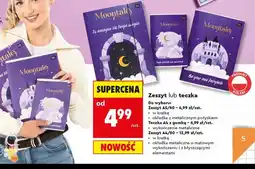 Biedronka Teczka A4 z gumką Moontale Kayet oferta