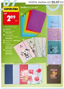 Biedronka Teczka A4 z gumką aksamitna soft touch Interdruk oferta