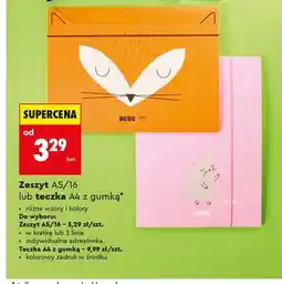 Biedronka Teczka A4 z gumką BEBE oferta