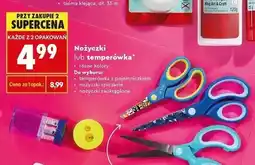 Biedronka Temperówka z pojemniczkiem Herlitz oferta