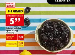 Biedronka Jeżyna polska oferta