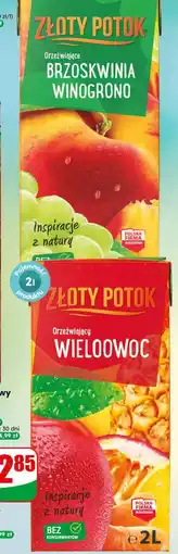 Dino ZŁOTY POTOK Orzeźwiający BRZOSKWINIA WINOGRONO oferta