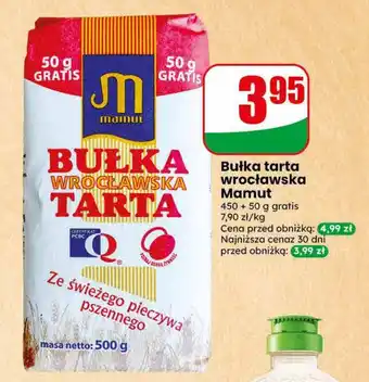 Dino Bułka tarta wrocławska Mamut oferta