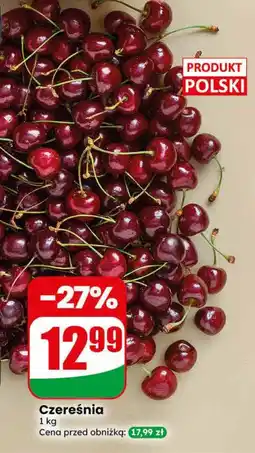 Dino Czereśnia oferta