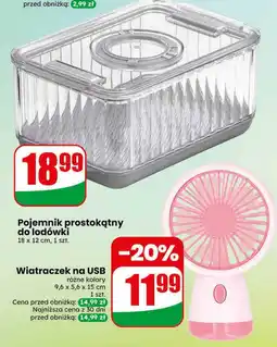 Dino Wiatraczek na USB oferta