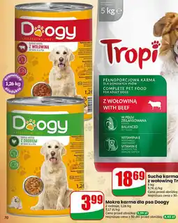 Dino Mokra karma dla psa Doogy oferta