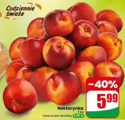 Dino Nektarynka oferta