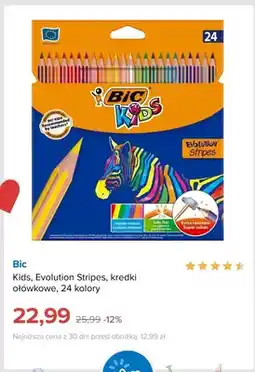 Smyk Kredki ołówkowe Bic Kids Evolution Stripes 24 kolory oferta
